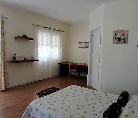 Infinity View * Nata