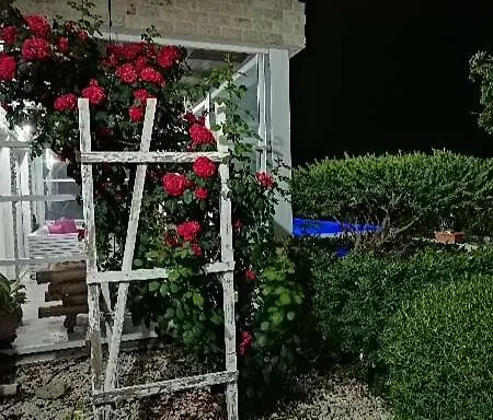 Infinity View Villa *