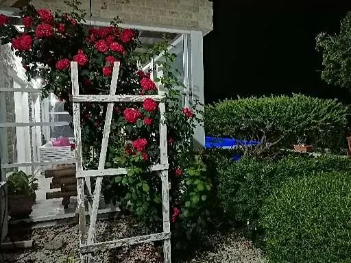 Infinity View Villa *